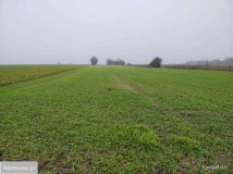 Działka rolna Nowy Lubosz