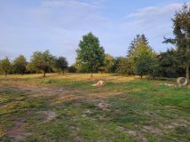 Działka budowlana Brzyskorzystew. Zdjęcie 2