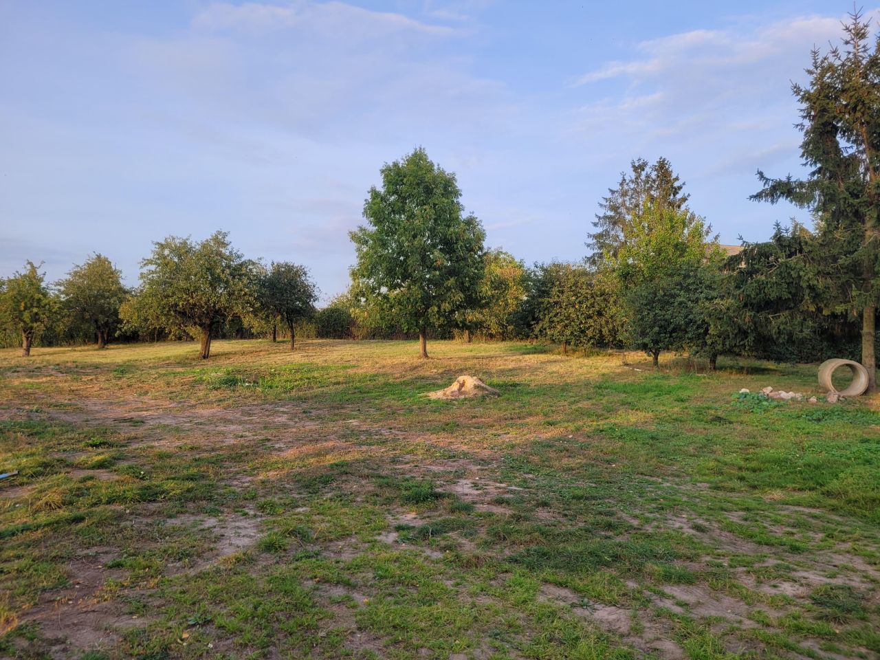 Działka budowlana Brzyskorzystew. Zdjęcie 3