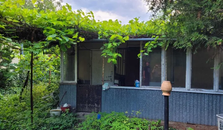 Działka rod Łódź Widzew, ul. Pszczyńska