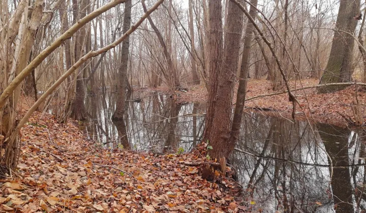 Działka budowlana Gronów