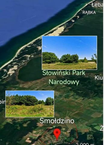 Działka rolna Smołdzino. Zdjęcie 1
