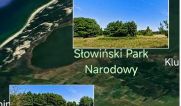 Działka rolna Smołdzino, 1 km od Dino Smoldzino