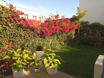 dom szeregowy, 4 pokoje Nowy Dwór Mazowiecki Osiedle Młodych, ul. Szmaragdowa. Zdjęcie 1