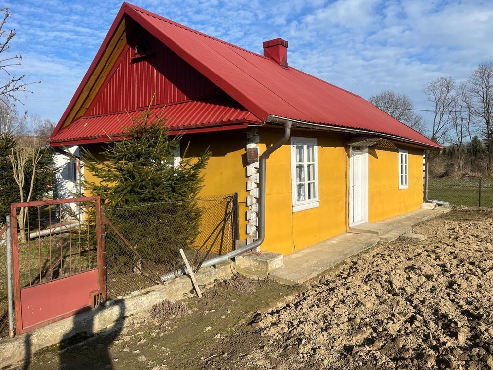 Działka siedliskowa Sosnowa-Dębowa. Zdjęcie 6