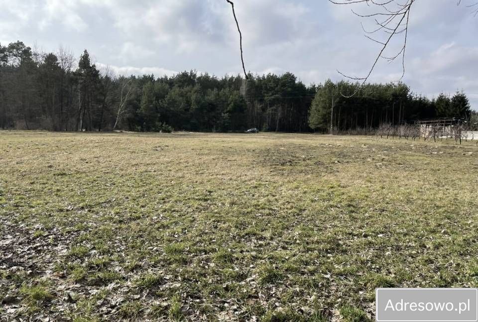 Działka rolno-budowlana Krzcin. Zdjęcie 6