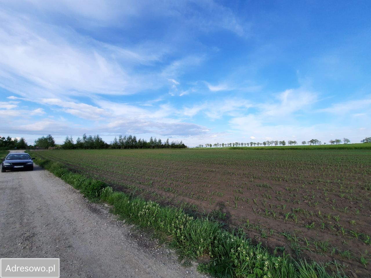 Działka budowlana Papowo Toruńskie Drążkowo, ul. Brzozowa. Zdjęcie 5