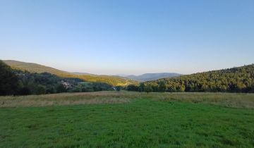 Działka rekreacyjna Więciórka