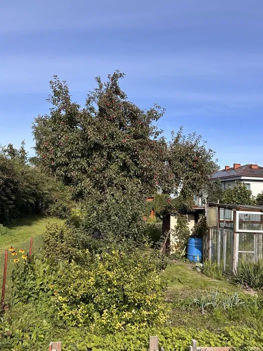 Działka rod Pruszcz Gdański, ul. Gdańska. Zdjęcie 3