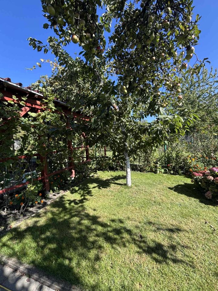 Działka rod Siemianowice Śląskie Bytków. Zdjęcie 6