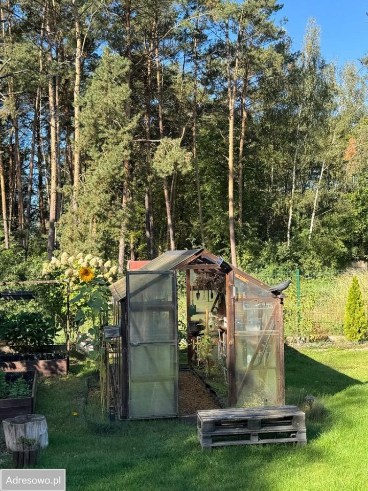 dom wolnostojący, 5 pokoi Sudoł. Zdjęcie 8