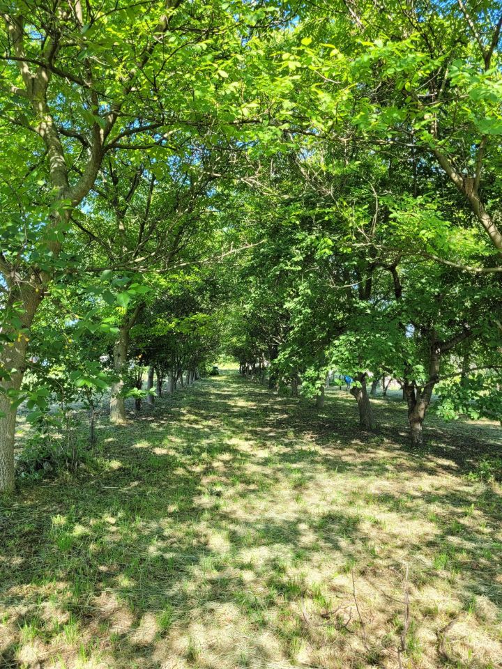 Działka budowlana Kolbark Na Górze, ul. Słoneczna. Zdjęcie 2