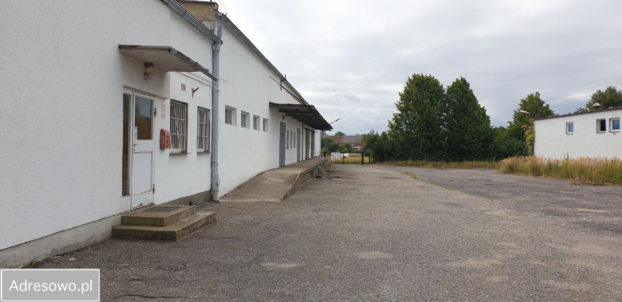 Hala/magazyn Dolice, ul. Kolejowa. Zdjęcie 3