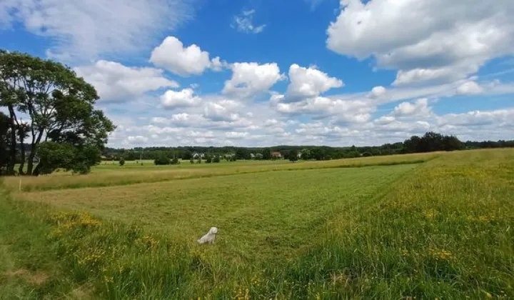 Działka budowlana Dobrzyniewo Duże, ul. Wierzbowa