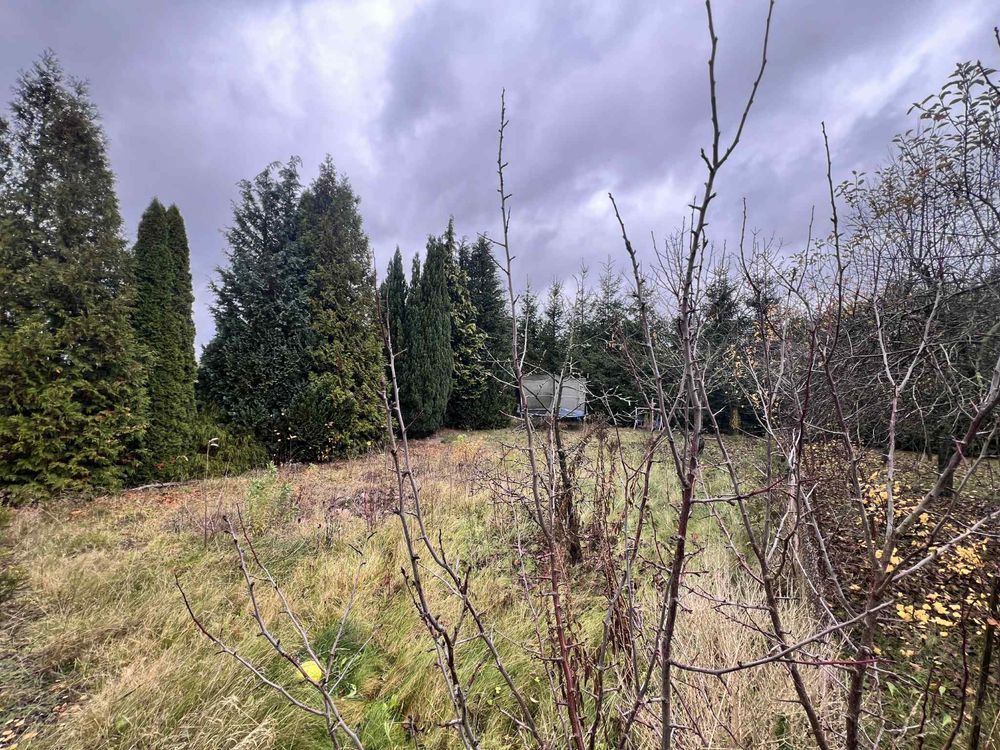 Działka rod Jagodowo osada leśna. Zdjęcie 4