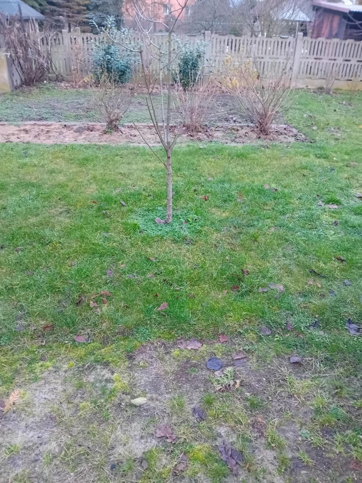 Działka budowlana Kłobuck Zagórze, ul. Równoległa. Zdjęcie 9