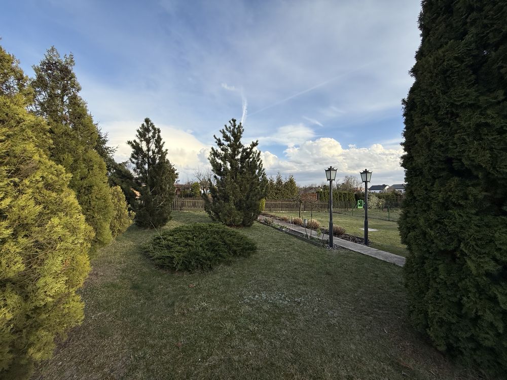 Działka rod Słupca. Zdjęcie 6