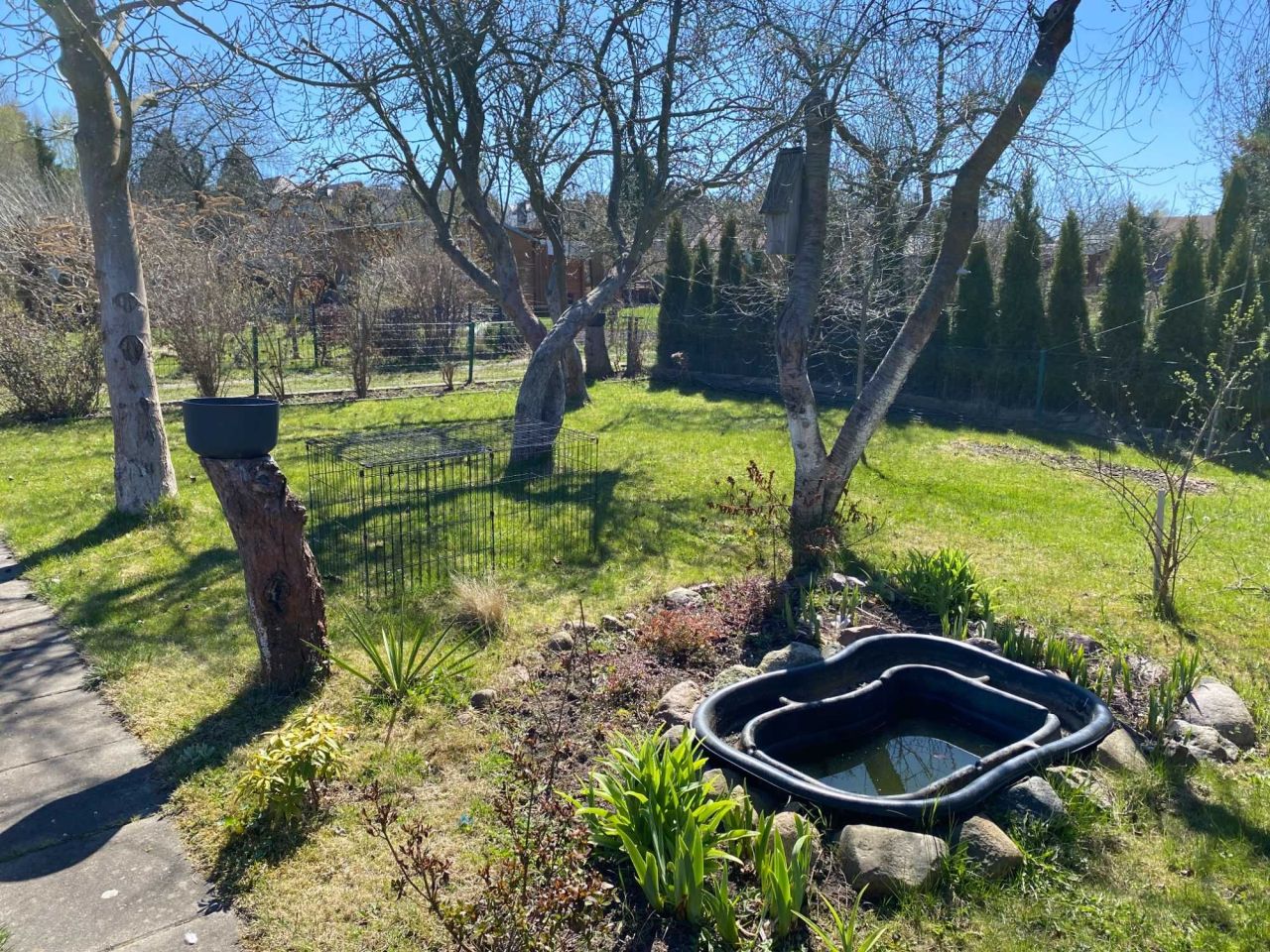 Działka rod Gdańsk Zabornia, ul. Łabędzia. Zdjęcie 5