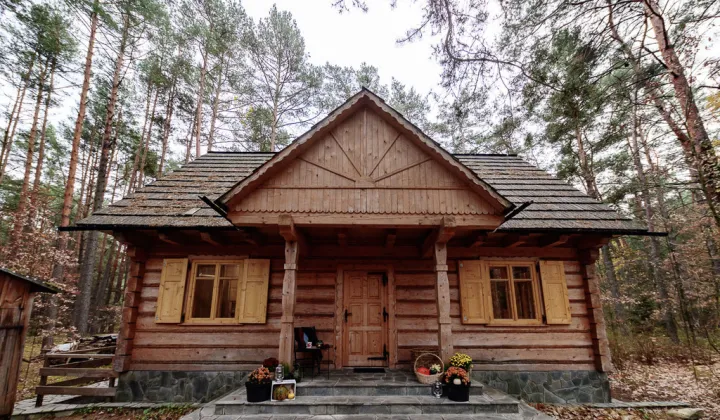 dom wolnostojący, 4 pokoje Wilga