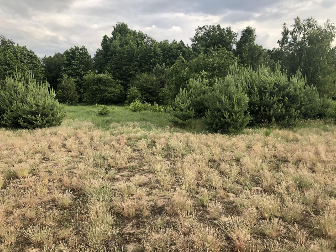 Działka budowlana Kolankowo, ul. Sielanka. Zdjęcie 13