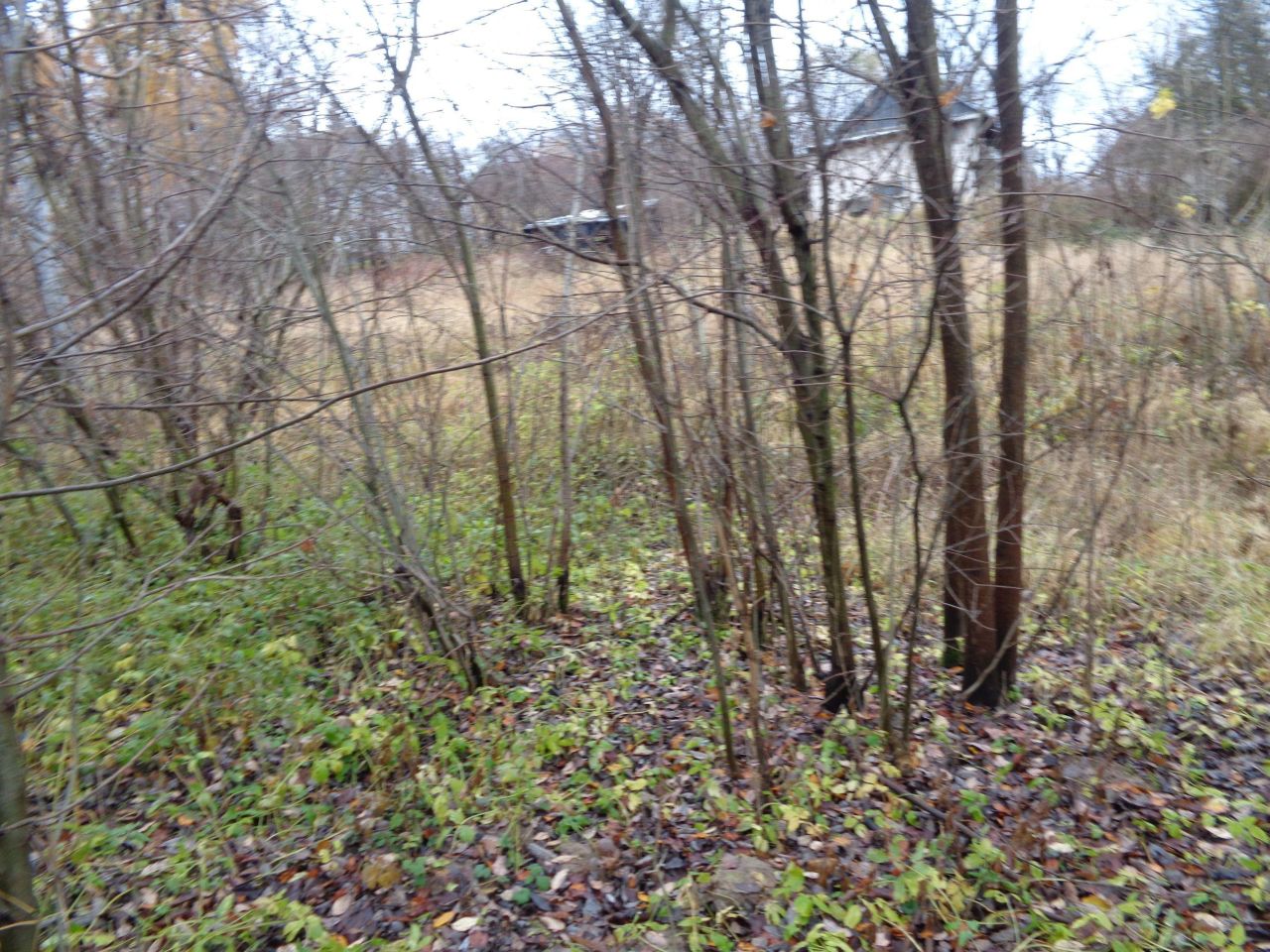 Działka budowlana Miękinia Wzgórze. Zdjęcie 8