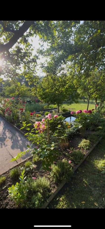 Działka rod Zabrze Centrum, ul. Gdańska. Zdjęcie 5