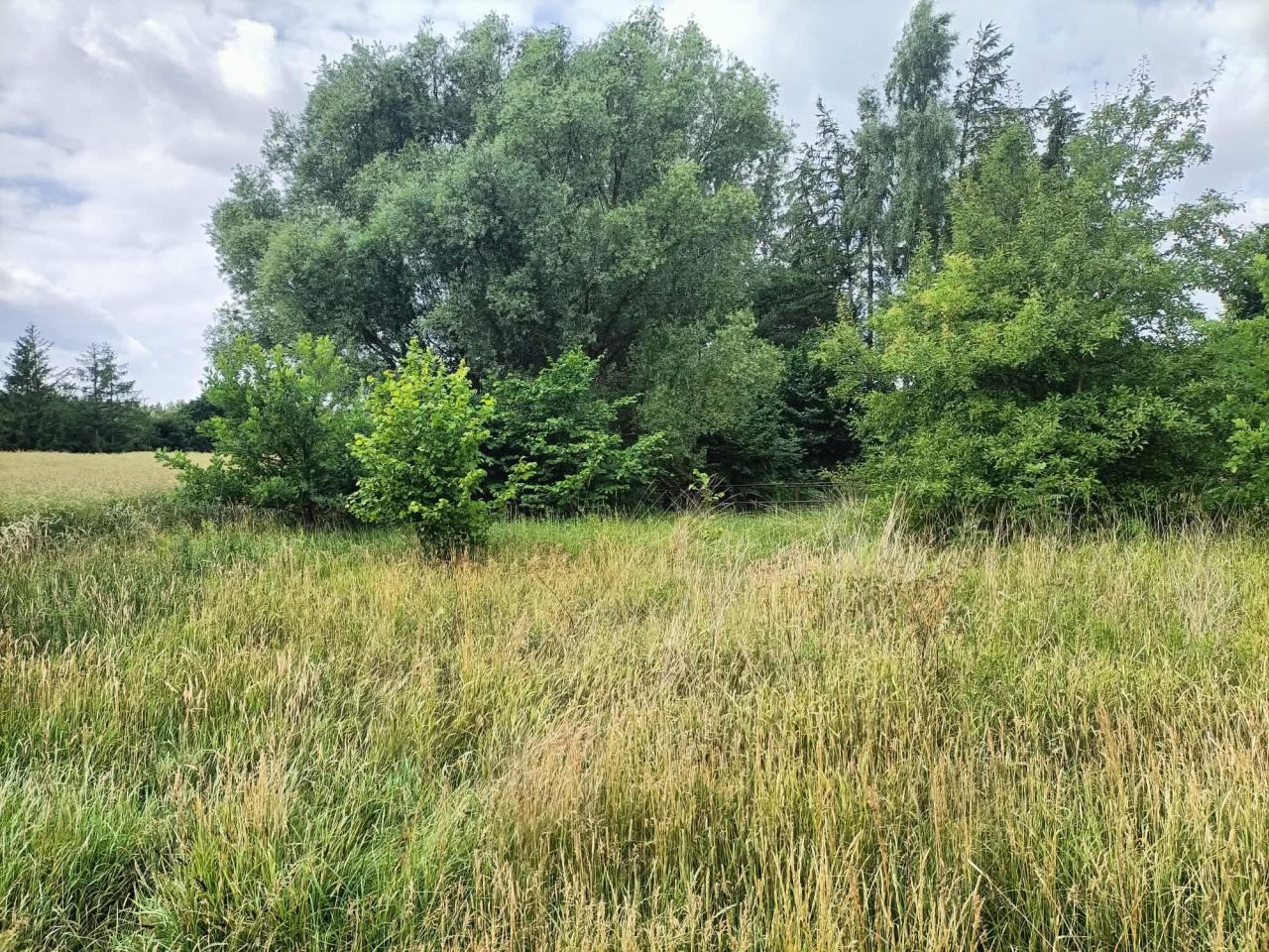 Działka budowlana Cieszeniewo. Zdjęcie 4