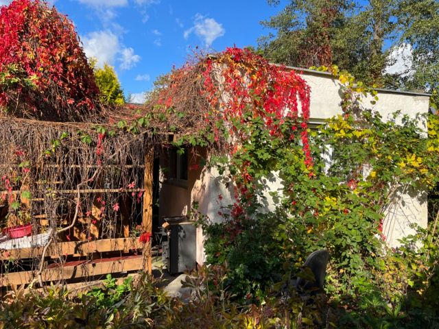 Działka rekreacyjna Włocławek. Zdjęcie 1