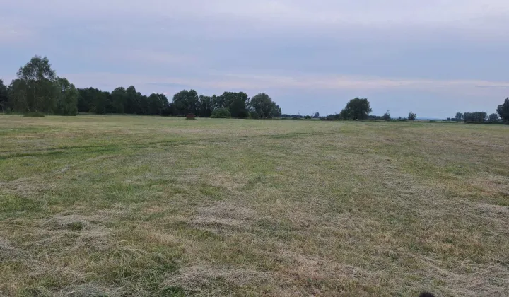 Działka budowlana Witnica, ul. Osiedle Zachodnie