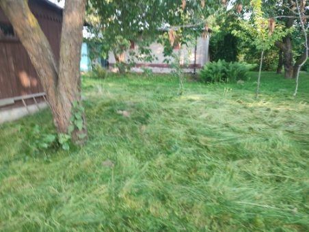 Działka rod Świdnik, ul. Sosnowa. Zdjęcie 7