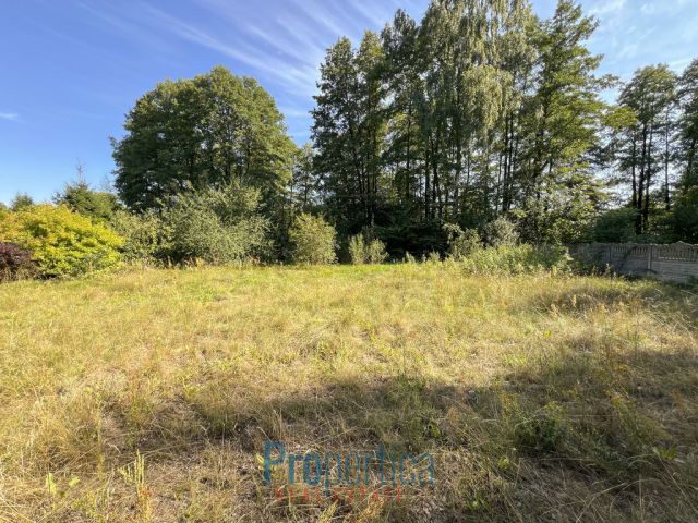 Działka budowlana Zwola Poduchowna. Zdjęcie 3