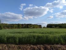 Działka inwestycyjna Młodzieszyn