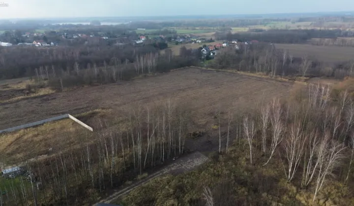 Działka budowlana Pyskowice Dzierżno, ul. Wiejska