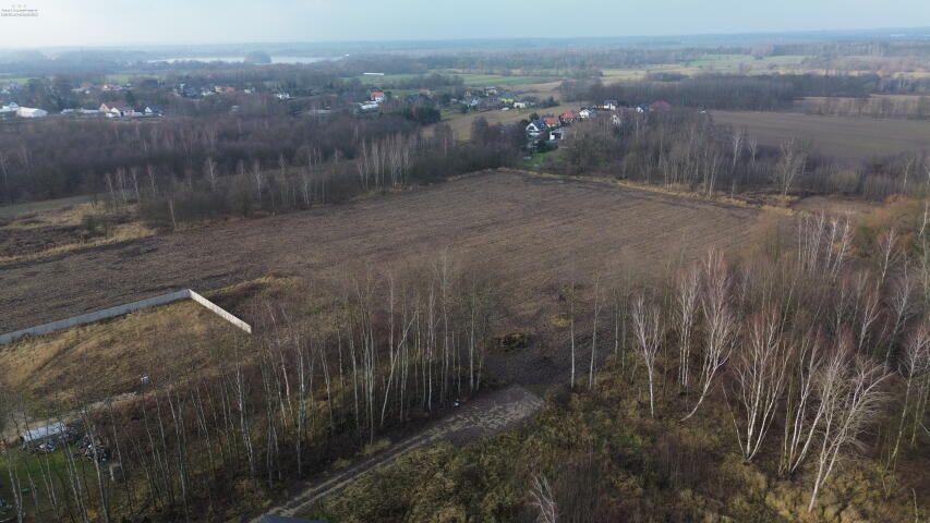 Działka budowlana Pyskowice Dzierżno, ul. Wiejska. Zdjęcie 1