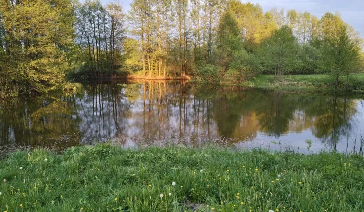 Działka rolna Kronowo