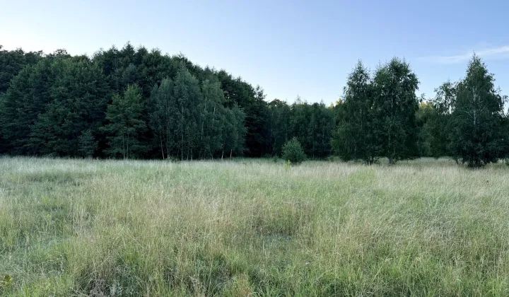Działka rolna Uhowo