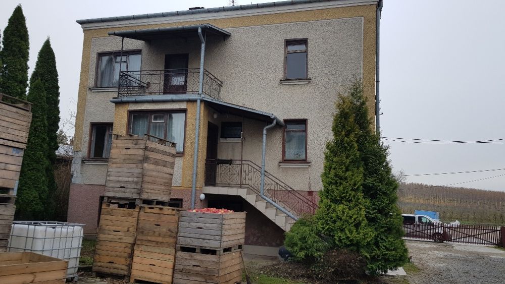 dom wolnostojący Obrazów. Zdjęcie 3