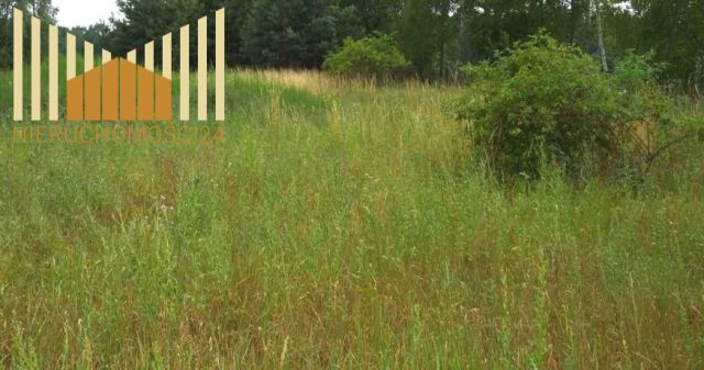 Działka budowlana Nowy Konik. Zdjęcie 1