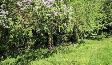 Działka rod Warszawa, ul. Augustówka