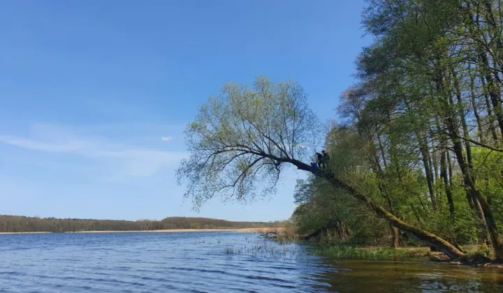 Działka rekreacyjna Wierzchowo