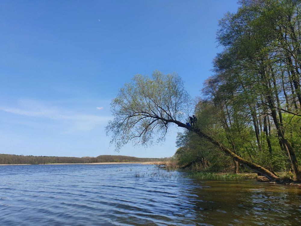 Działka rekreacyjna Wierzchowo