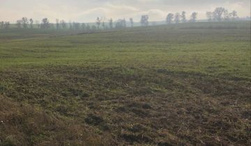 Działka budowlana Bądki, ul. Lipowa