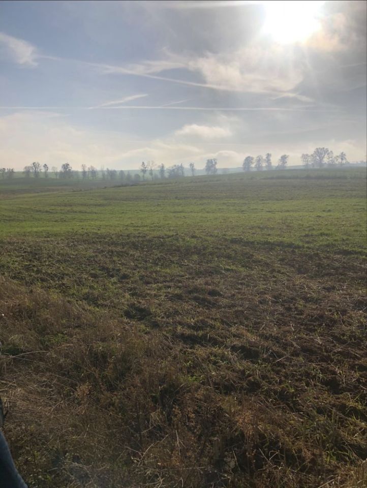 Działka budowlana Bądki, ul. Lipowa