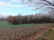 Działka budowlana Jastrzębie-Zdrój, ul. Szybowa. Zdjęcie 1