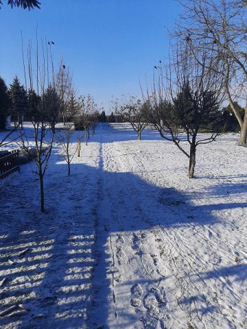 Działka rod Działyń. Zdjęcie 1