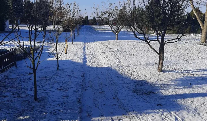 Działka rod Działyń