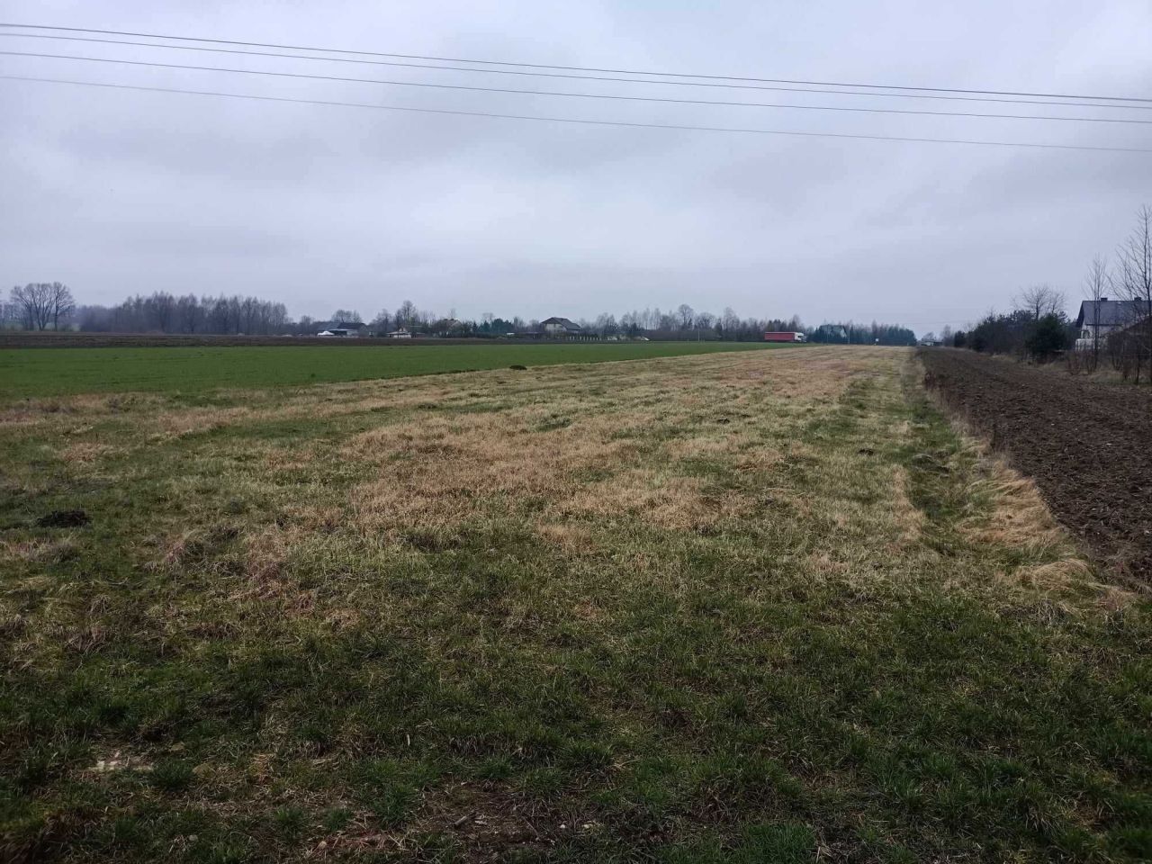 Działka budowlana Kotfin. Zdjęcie 4