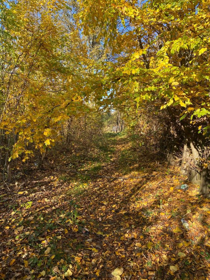 Działka budowlana Biedrzychowice. Zdjęcie 5