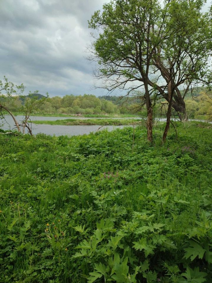 Działka rolna Dobra. Zdjęcie 4