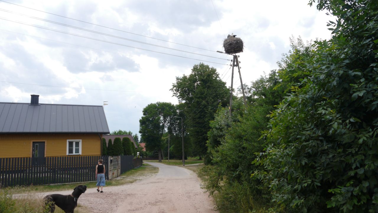 Działka budowlana Stara Huta. Zdjęcie 5